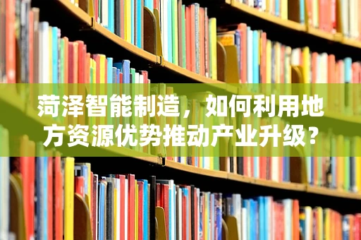 菏泽智能制造，如何利用地方资源优势推动产业升级？