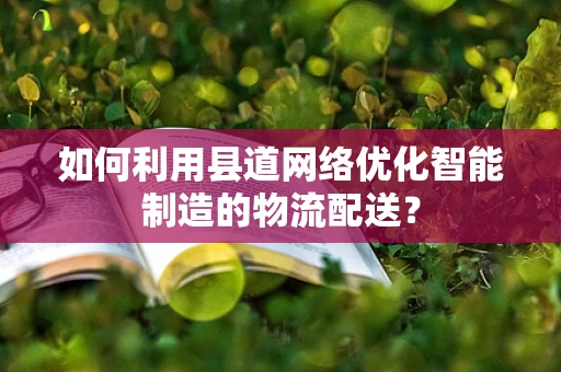 如何利用县道网络优化智能制造的物流配送？