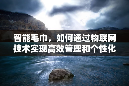 智能毛巾，如何通过物联网技术实现高效管理和个性化服务？