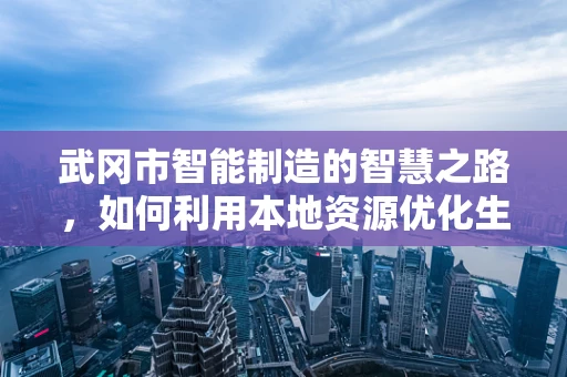 武冈市智能制造的智慧之路，如何利用本地资源优化生产流程？