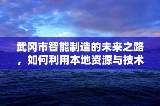 武冈市智能制造的未来之路，如何利用本地资源与技术创新？