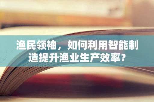 渔民领袖，如何利用智能制造提升渔业生产效率？