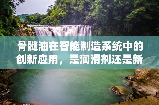 骨髓油在智能制造系统中的创新应用，是润滑剂还是新机遇？