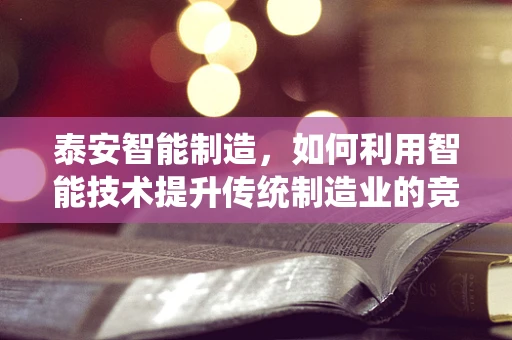 泰安智能制造，如何利用智能技术提升传统制造业的竞争力？