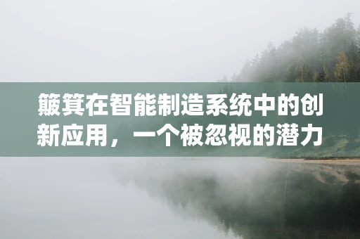 簸箕在智能制造系统中的创新应用，一个被忽视的潜力领域？