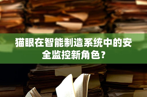 猫眼在智能制造系统中的安全监控新角色？