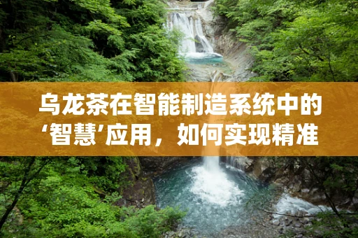 乌龙茶在智能制造系统中的‘智慧’应用，如何实现精准管理与个性化定制？