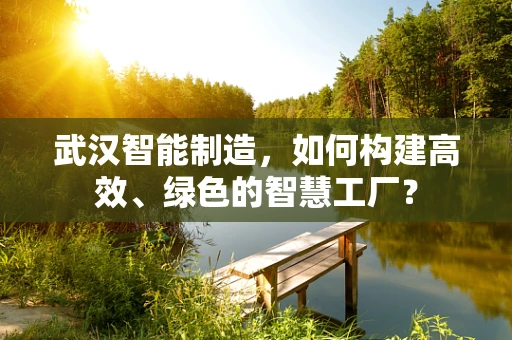 武汉智能制造，如何构建高效、绿色的智慧工厂？