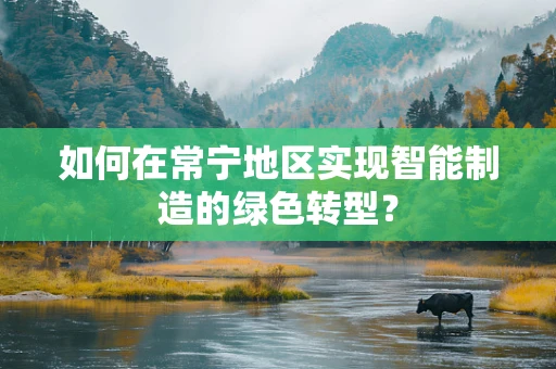 如何在常宁地区实现智能制造的绿色转型？