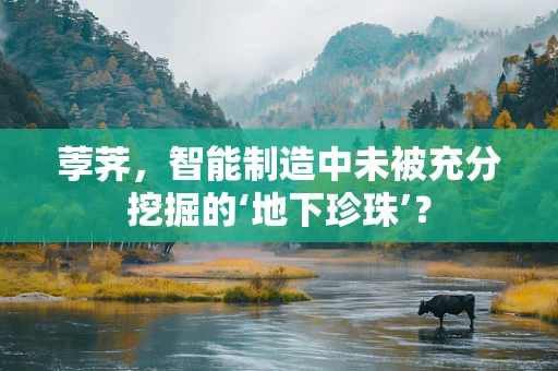 荸荠，智能制造中未被充分挖掘的‘地下珍珠’？