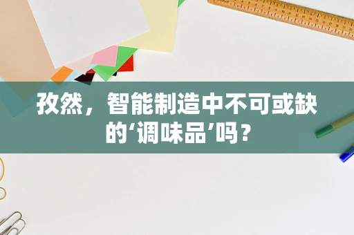 孜然，智能制造中不可或缺的‘调味品’吗？