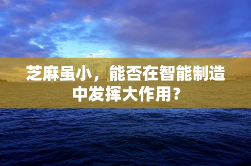 芝麻虽小，能否在智能制造中发挥大作用？