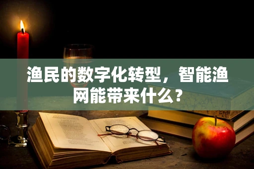 渔民的数字化转型，智能渔网能带来什么？